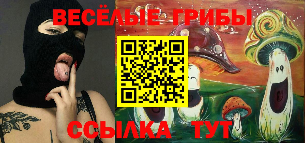 наркотики  Галлюциногенные грибы прущие грибы  Вход с VPN  Видное 