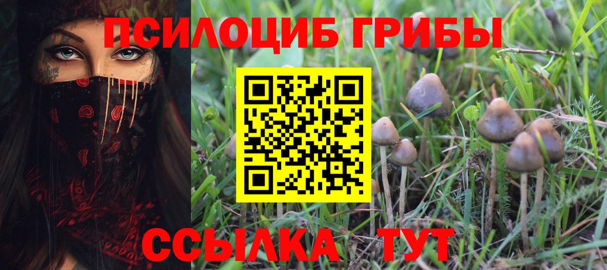 Псилоцибиновые грибы MAGIC MUSHROOMS Видное